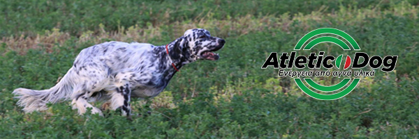 ATLETIC DOG - DOG FOOD